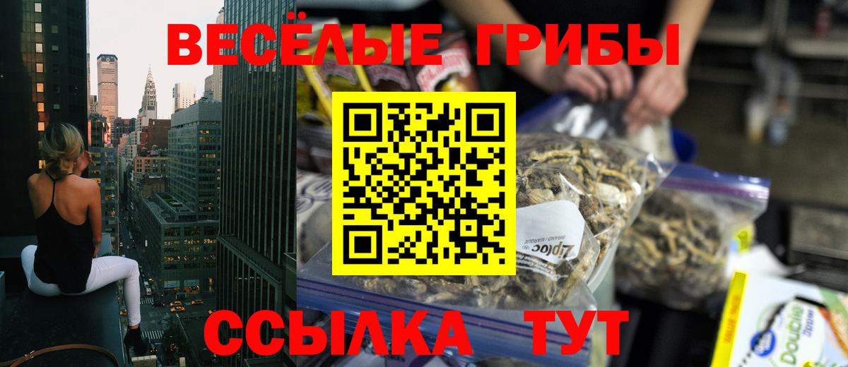 Галлюциногенные грибы GOLDEN TEACHER Муром
